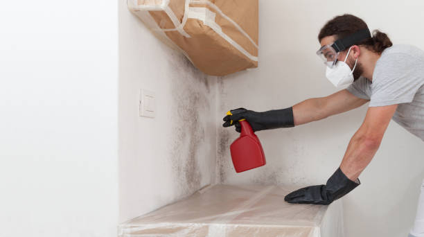 Professional Mold Remediation technician working in Palm Beach, FL